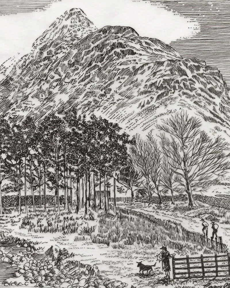 Fine Line Drawing – Cumbrian Walk