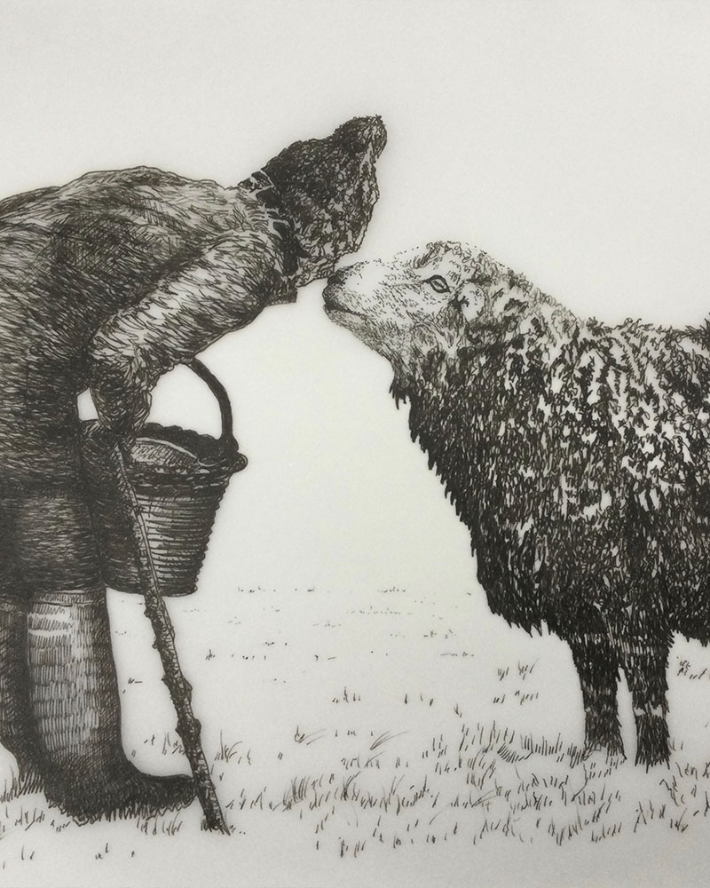 Fine Line Drawing – Sheep