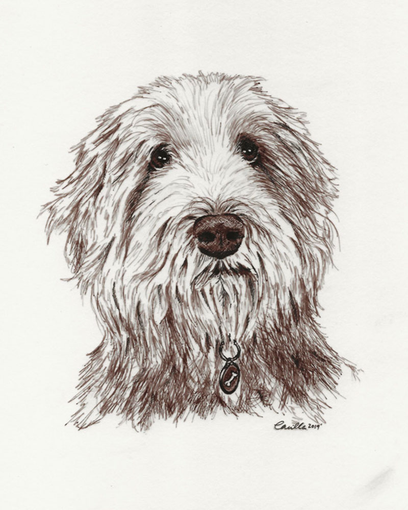 Fine Line Drawing – Alfie