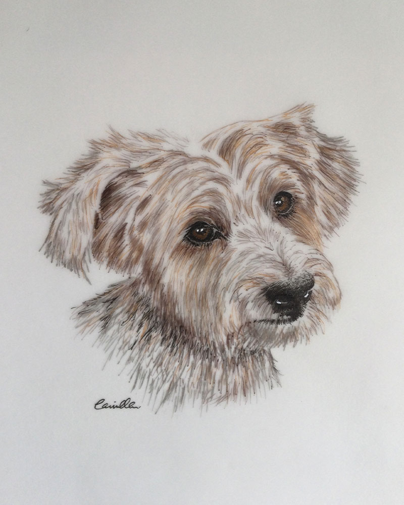 Fine Line Drawing – Dog 4