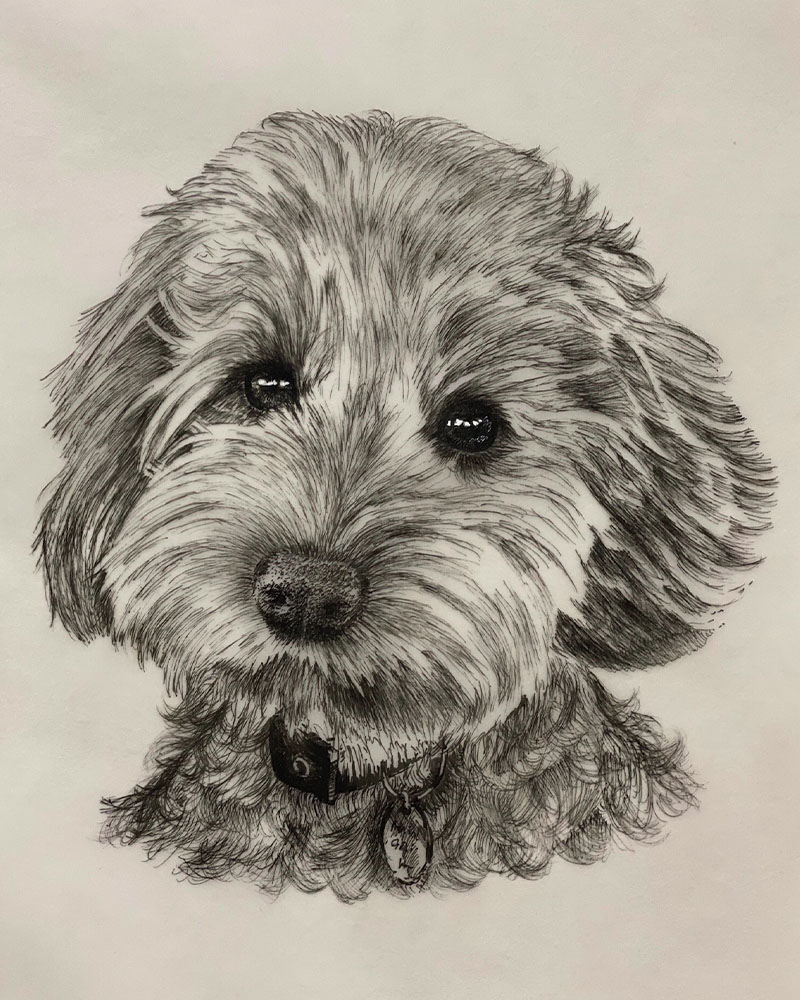 Fine Line Drawing – Small Dog 2