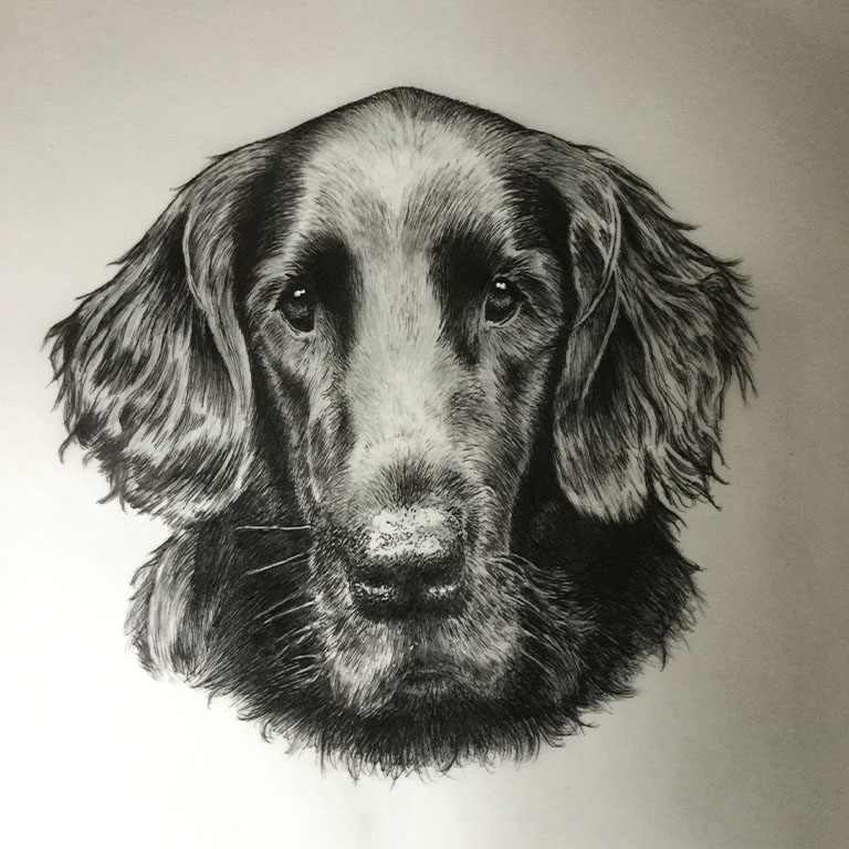 Fine Line Drawing – Dog 2