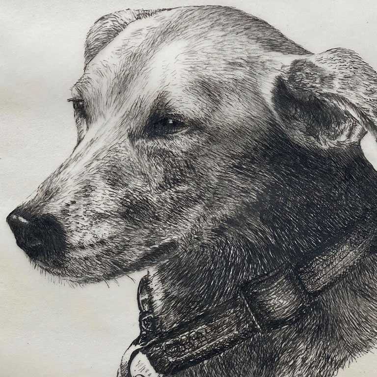 Fine Line Drawing – Dog 3