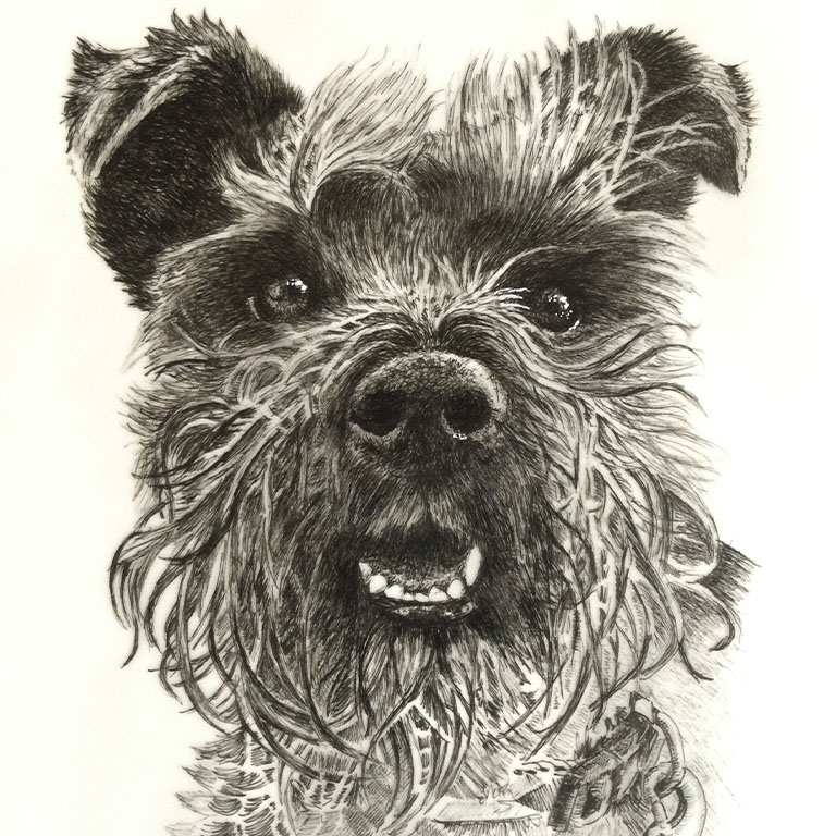 Fine Line Drawing – Small Terrier 2