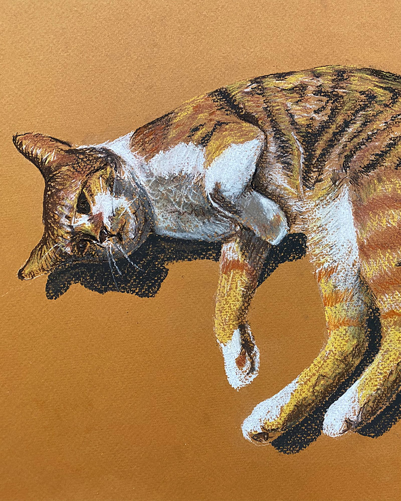 Watercolour Painting – Cat