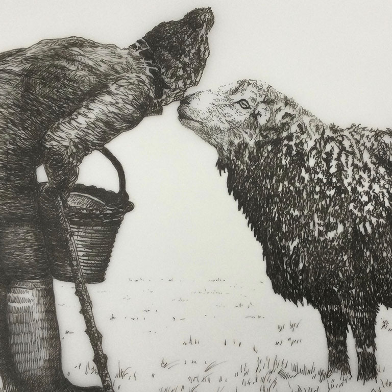 Fine Line Drawing – Sheep