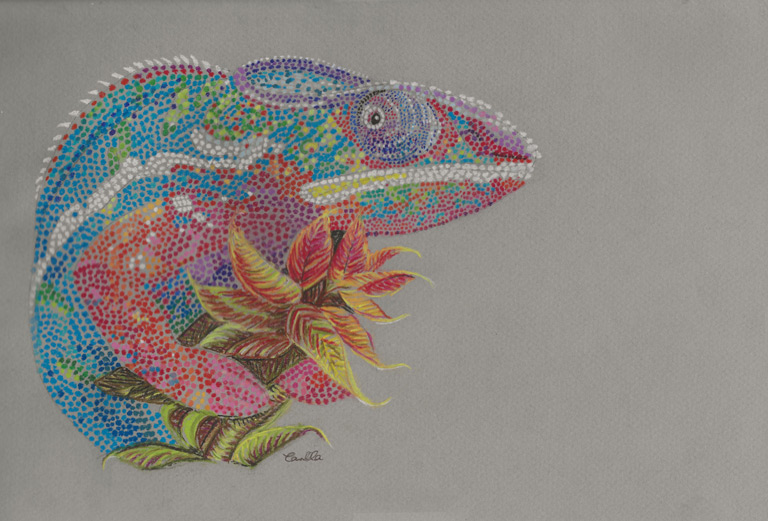 Fine Line Drawing – Chameleon