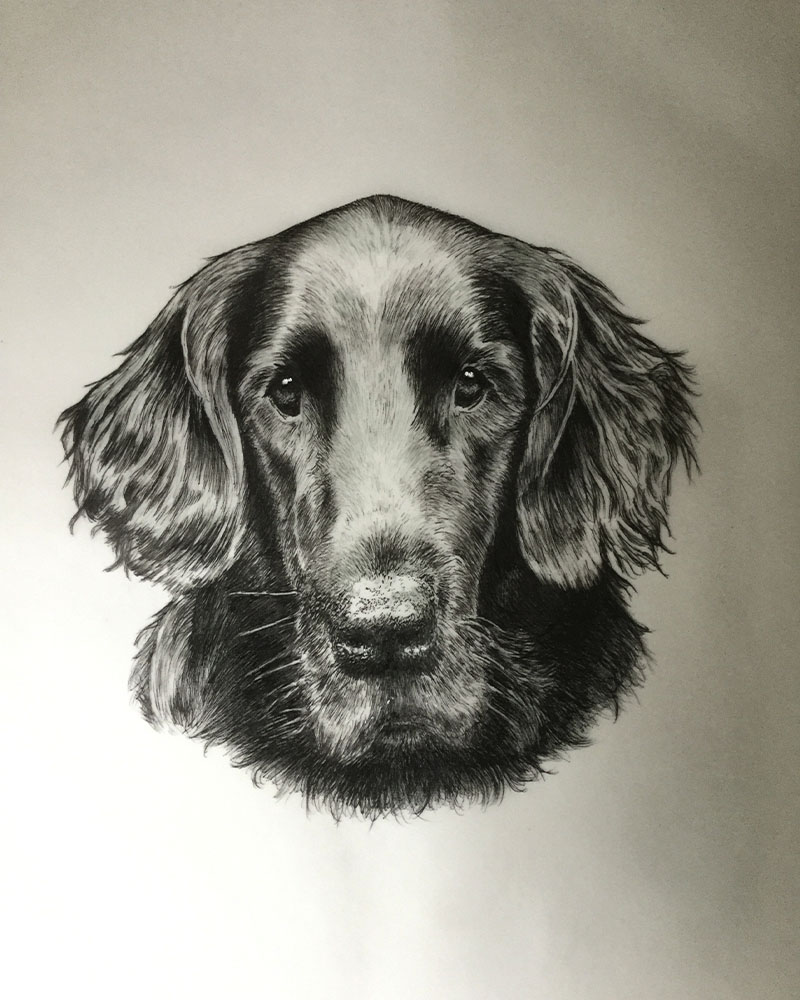 Fine Line Drawing – Dog 2