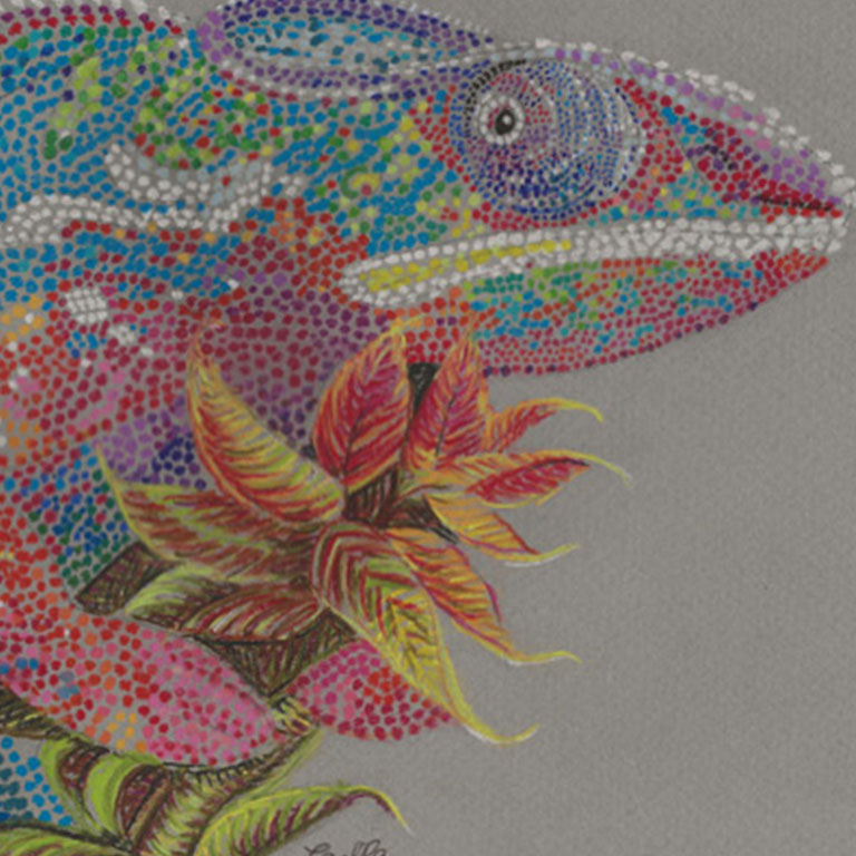 Fine Line Drawing – Chameleon