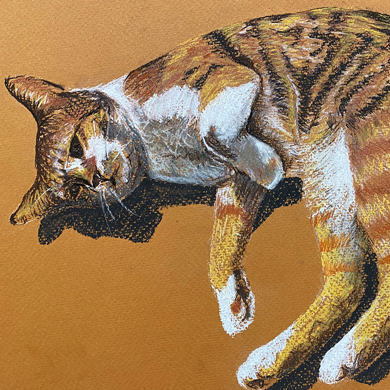 Watercolour Painting – Cat